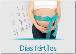 dias fertiles para quedar embarazada